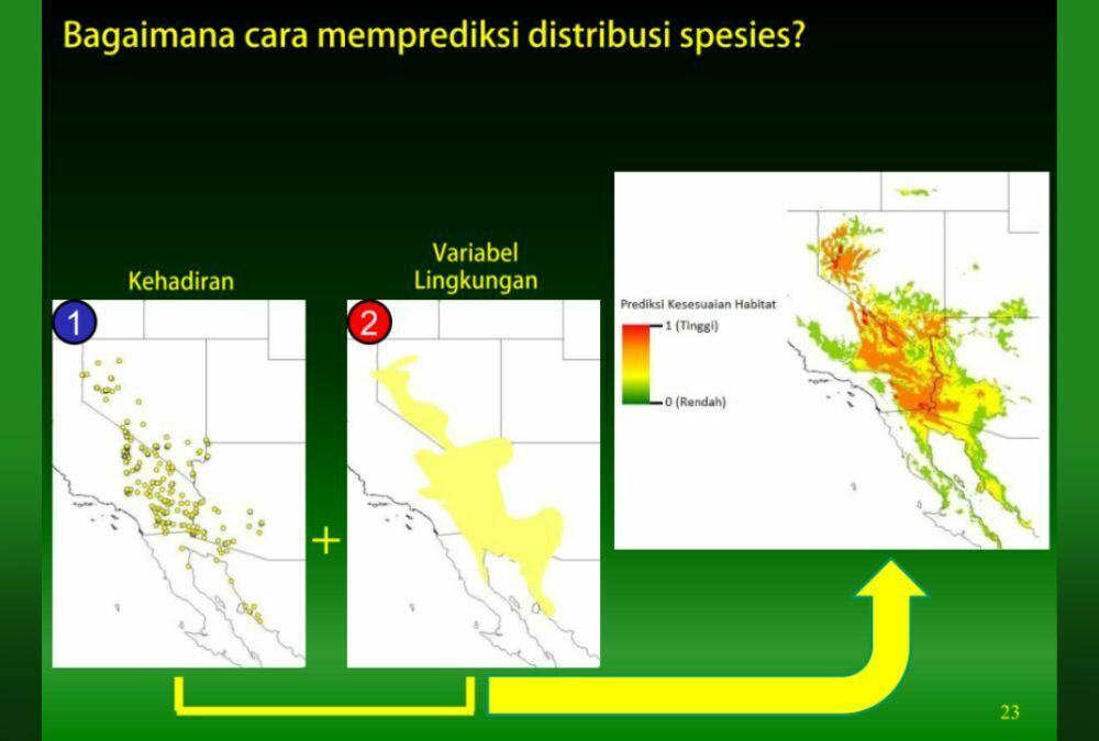 Overlay data perjumpaan spesies dan data lingkungan