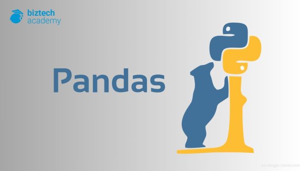 Mengenal Pandas Python: Panduan Awal untuk Analisis Data - Biztech Academy